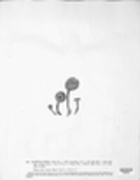 Lepista nuda image